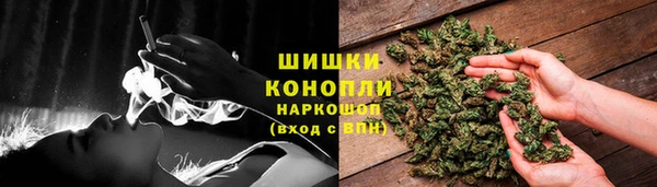 spice Горняк